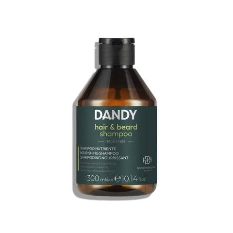 Dandy shampooing cheveux et barbe 300 ml